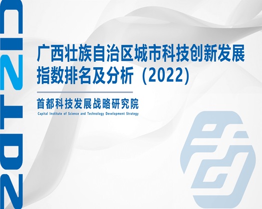 污在线看插啊嗯污【成果发布】广西壮族自治区城市科技创新发展指数排名及分析（2022）